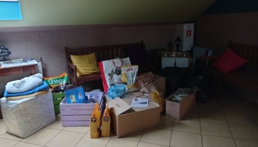 Dary dla psiaków